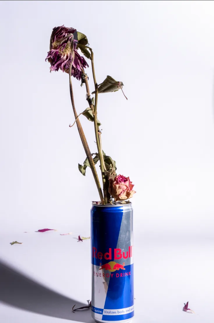 Wilted roses arranged inside a Red Bull can — still life photograph by Jack Frampton